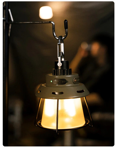 Blackdeer Lotus Seed Lamp 1 6.jpg