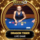 DRAGON TIGER.gif