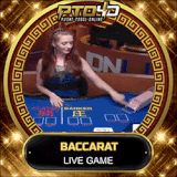 BACC.gif