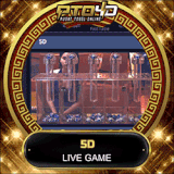 5D.gif