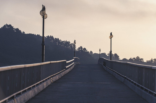 bridge 8002732 1280.jpg