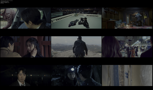 Die Frau im Nebel Decision to leave t00.mkv.png