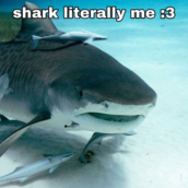 Untitled856 20230602114313.png