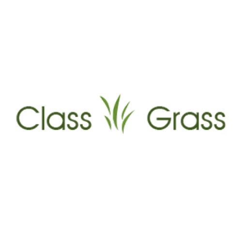 Best Artificial Grass for Sports Dublin.jpg