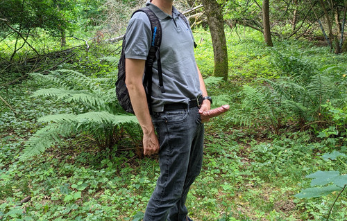 In the woods02.jpg