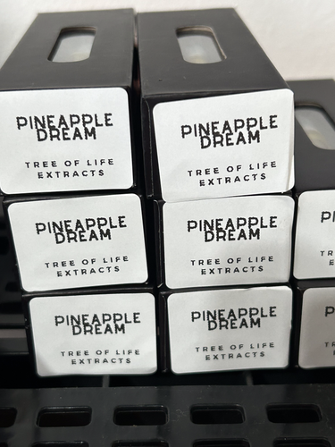 Pineapple Dream print.png