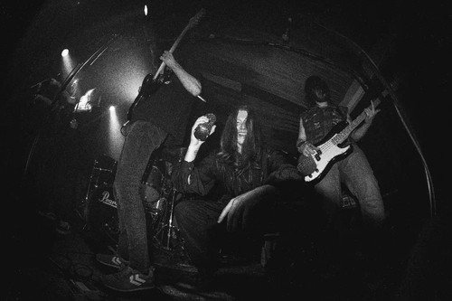 tonedeaf band 332284092 558898212864604 3494240663116391138 n.jpg