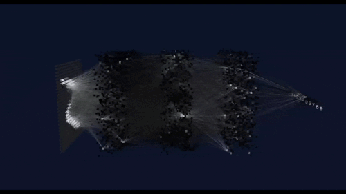 gif 1 min.gif