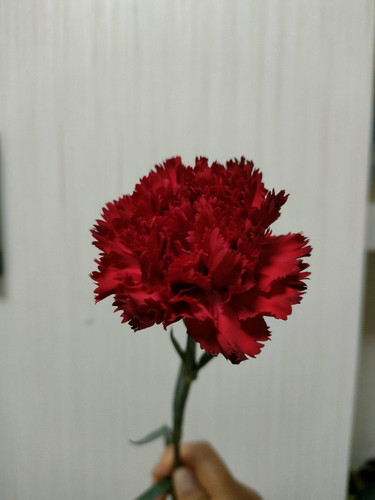 IMG20230513205248.jpg