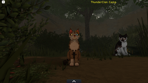 RobloxScreenShot20230526 163639200.png