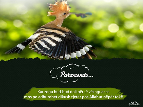 Paramendo ... (9).jpg