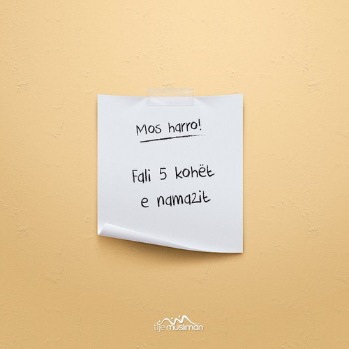 Mos harro! (10).jpg
