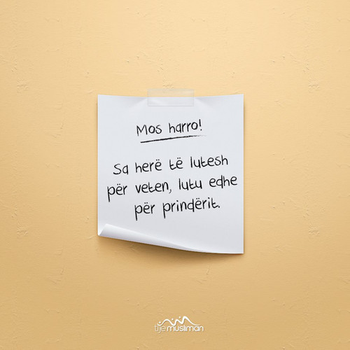 Mos harro! (6).jpg