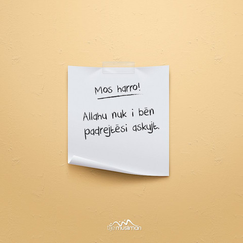Mos harro! (1).jpg