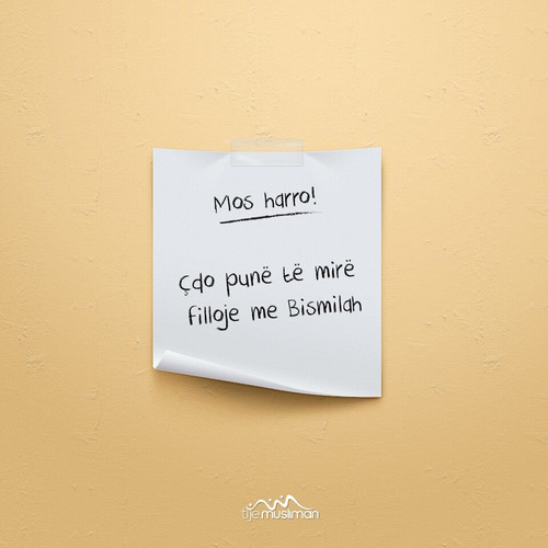 Mos harro! (7).jpg