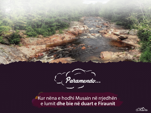 Paramendo ... (8).png