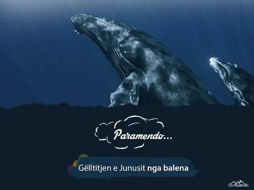 Paramendo ... (1).jpg