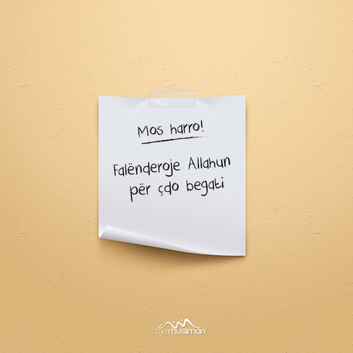 Mos harro! (12).jpg