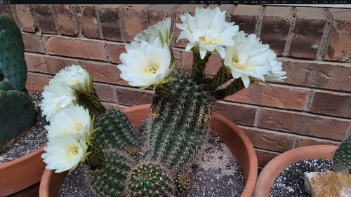 i3 screen import 2023 06 02 1685754217