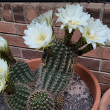 i3 screen import 2023 06 02 1685754217