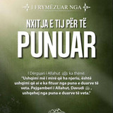 I frymëzuar nga ... (16)