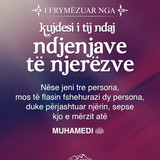 I frymëzuar nga ... (32)
