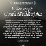 I frymëzuar nga ... (41)
