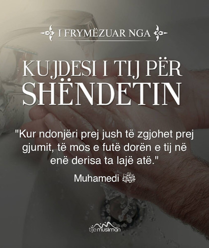 I frymëzuar nga ... (35).jpg