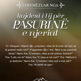 I frymëzuar nga ... (28)