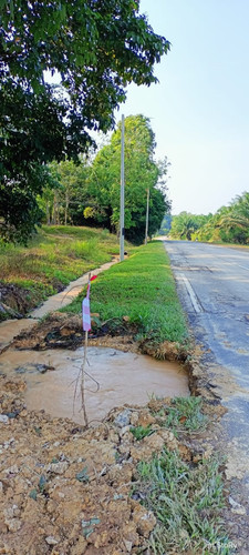 lui selatan.jpg