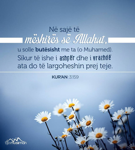 Ajete dhe Hadithe (448).jpg