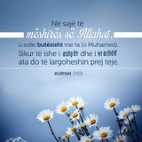 Ajete dhe Hadithe (448)
