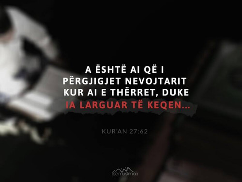 Ajete dhe Hadithe (416).jpg