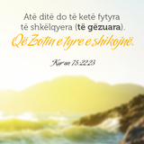 Ajete dhe Hadithe (439)