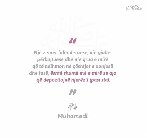 Ajete dhe Hadithe (417).jpg
