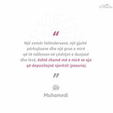 Ajete dhe Hadithe (417)