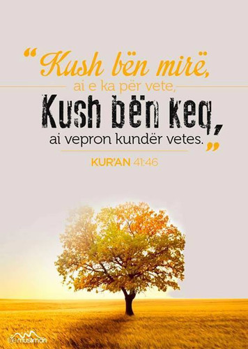 Ajete dhe Hadithe (461).jpg