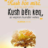 Ajete dhe Hadithe (461)