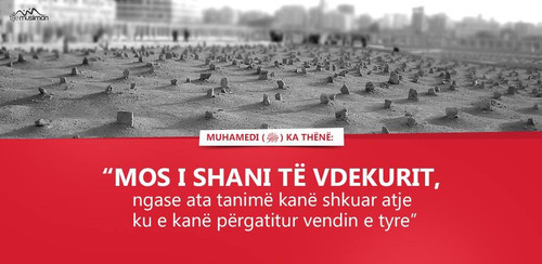 Ajete dhe Hadithe (435).jpg