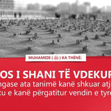 Ajete dhe Hadithe (435)