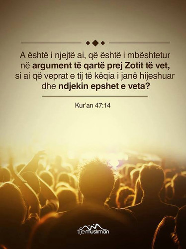 Ajete dhe Hadithe (447).jpg