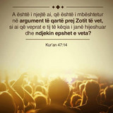 Ajete dhe Hadithe (447)