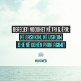 Ajete dhe Hadithe (436)