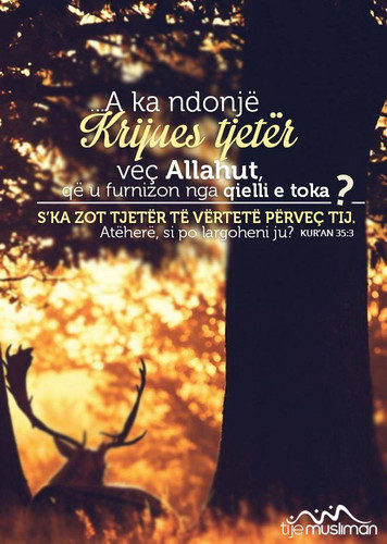 Ajete dhe Hadithe (425).jpg