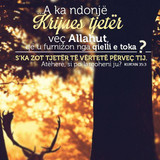 Ajete dhe Hadithe (425)