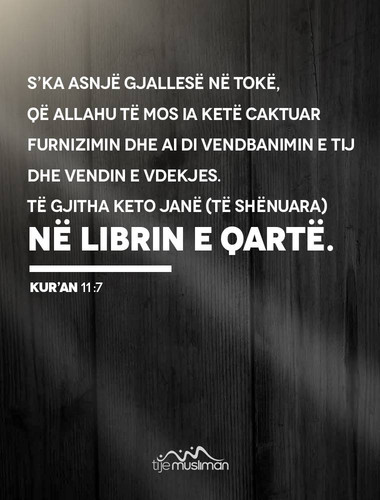 Ajete dhe Hadithe (42).jpg