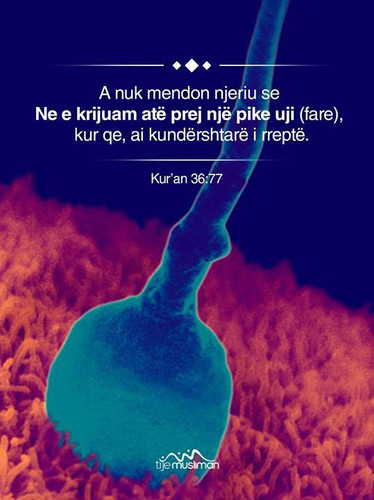 Ajete dhe Hadithe (22).jpg