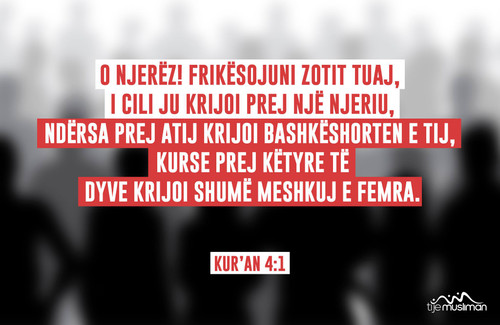 Ajete dhe Hadithe (50).jpg