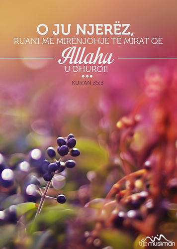 Ajete dhe Hadithe (51).png