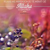 Ajete dhe Hadithe (51)
